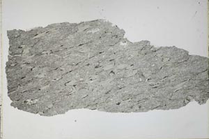 Plane Polarized, S52351