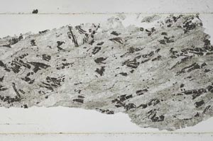 Plane Polarized, S52353