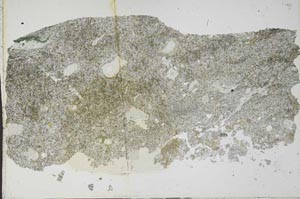 Plane Polarized, S52357
