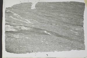 Plane Polarized, S52359