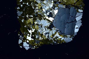 Cross Polarized, S52389