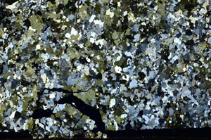 Cross Polarized, S52391