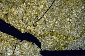 Cross Polarized, S52394
