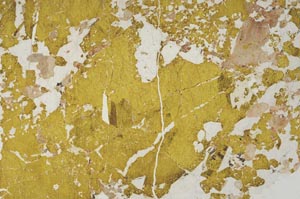 Plane Polarized, S52414