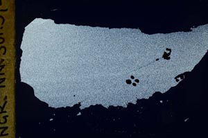 Cross Polarized, S52416