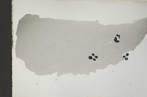 Plane Polarized, S52416