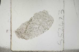Plane Polarized, S52423