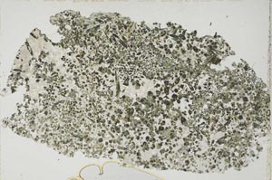 Plane Polarized, S52425