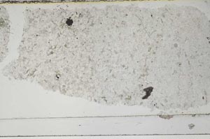 Plane Polarized, S52428