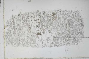 Plane Polarized, S52442