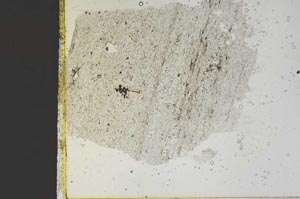 Plane Polarized, S52454