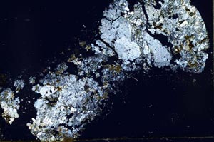 Cross Polarized, S52457