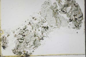 Plane Polarized, S52457