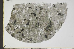 Plane Polarized, S52458