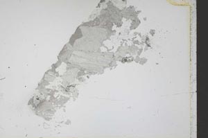 Plane Polarized, S52486/A