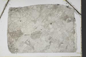 Plane Polarized, S52486/B