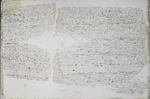 Plane Polarized, S52492