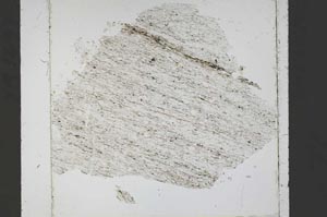 Plane Polarized, S52493