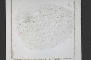 Plane Polarized, S52507