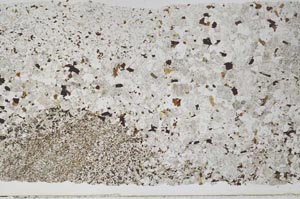 Plane Polarized, S52533