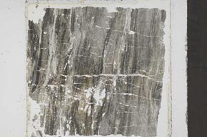 Plane Polarized, S52541