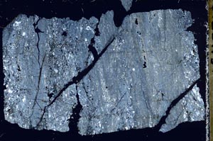 Cross Polarized, S52544