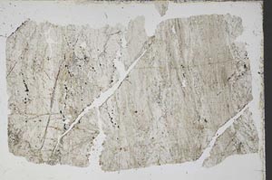 Plane Polarized, S52544