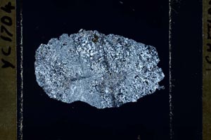 Cross Polarized, S52545