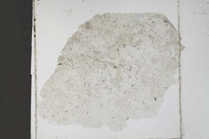 Plane Polarized, S52546