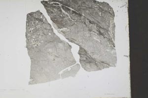 Plane Polarized, S52558