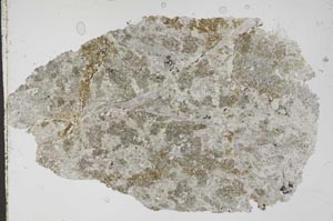Plane Polarized, S52560