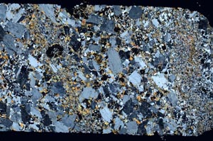 Cross Polarized, S52561