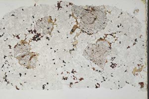Plane Polarized, S52563