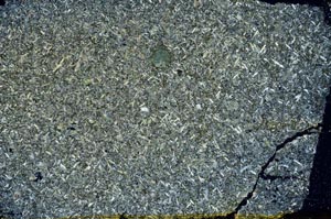 Cross Polarized, S52582