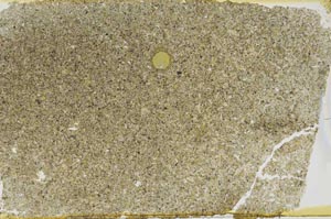 Plane Polarized, S52582