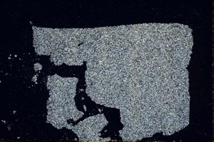 Cross Polarized, S52584