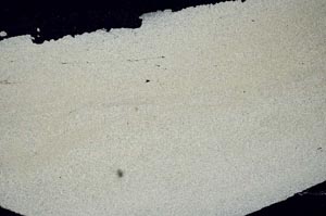 Cross Polarized, S52586