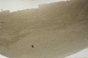 Plane Polarized, S52586
