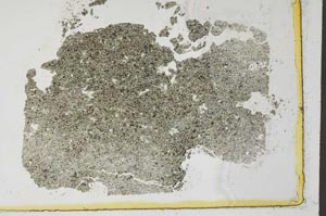 Plane Polarized, S52590