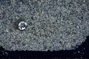 Cross Polarized, S52601