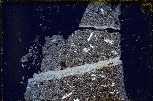 Cross Polarized, S52603