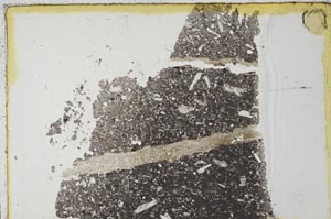 Plane Polarized, S52603