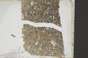 Plane Polarized, S52604