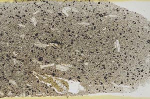 Plane Polarized, S52605