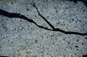 Cross Polarized, S52606