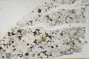 Plane Polarized, S52628