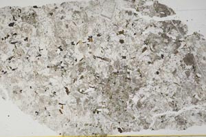 Plane Polarized, S52632