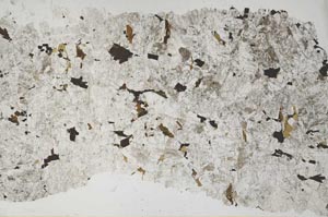 Plane Polarized, S52634