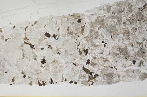 Plane Polarized, S52636