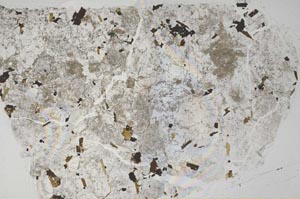 Plane Polarized, S52638